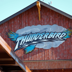Thunderbird-Logo-Installation-Complete-Logo