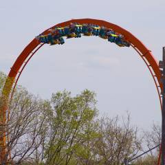 Thunderbird-Vertical-Loop-and-Voyage-Hill1